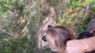 Forest 3...