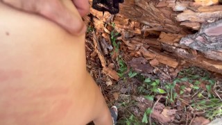 Forest 3...