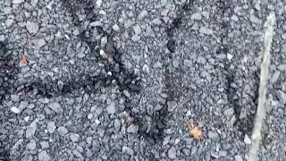 Limp Dick Twink Tries To Spell His Name Outdoor Public Pissing Peeing Urination