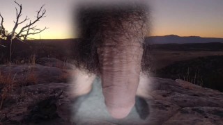 Dick pics for the guys. I would love it if you would service my cock