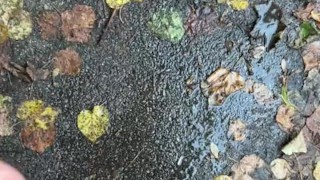 Gay PISSNG outdoor with foreskin uncut DICK