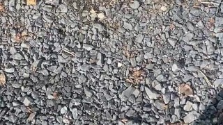 Anal Virgin Twink Public Peeing Pissing on Daddy’s Workshop Building