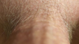 Reverse POV suck my dick