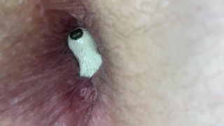 Closeup - Letting my meerkat toy catch a breath