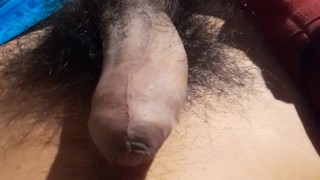Verga
