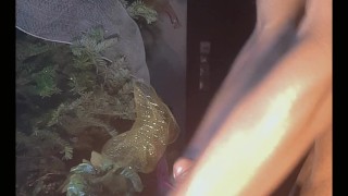 Chico se folla con sus manos hasta correrse