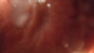 POV - Shoving you in deep with a 12in dildo