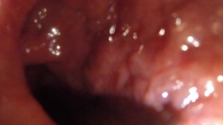 POV - Shoving you in deep with a 12in dildo
