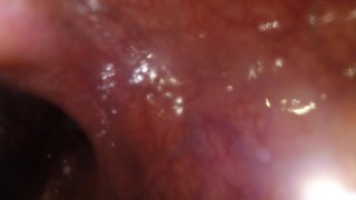 POV - Watch me play with a meerkat toy from the inside