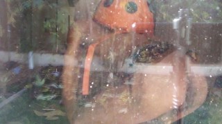 A treat for loyal dogs ONLY