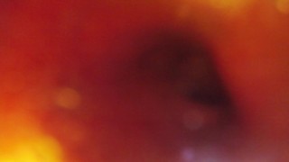 POV - Shoving you in and playing with my meerkat toy