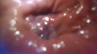 POV - Fucking myself with a meerkat toy after getting you settled in