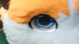 Walking in my house.