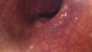 POV - Letting you hang out inside me while I masturbate