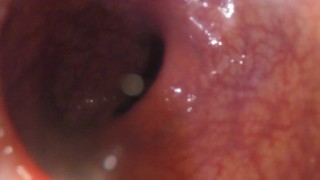 POV - Letting you hang out inside me while I masturbate
