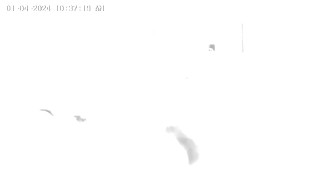 Puerto Rican Take It Doggy With Bondage