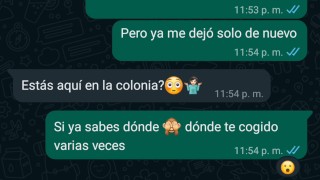 CON LA VENDEDORA DE CARNITAS LE MANDO WHATSAPP Y COJEMOS