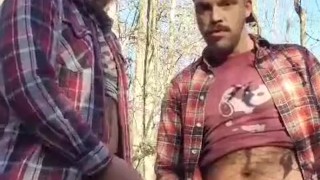 Busy Mountain Top Bate