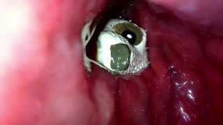 Checking up on the meerkat toy with my endoscope