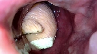 Meerkat toy lounging in my guts