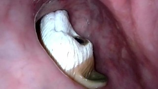 Meerkat toy getting tucked into my sigmoid for the night