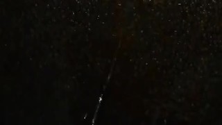 trans girl pees in public