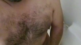 Brown cock