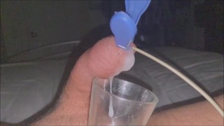 Electro Milking Night