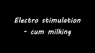 Electro stimulation - cum milking