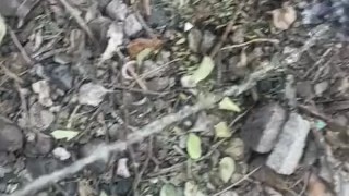 Meando al aire libre