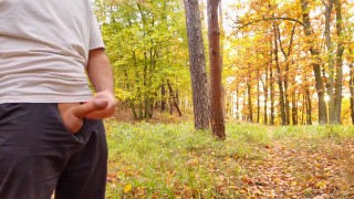 Nice cock cumming in forest in fine rain