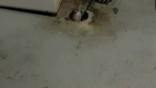 Pissing on the floor while sitting