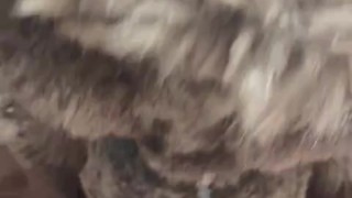 Demon Debauchery 😈 Part 2