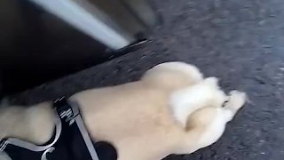 We need a bitch got my dog