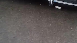 We need a bitch got my dog