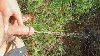 Just a golden shower on some grass.