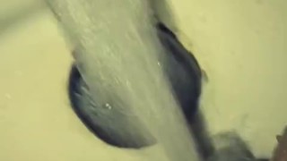 Weetpusssy
