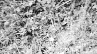 ⛔💀☠️☢☣⛔Llego el Apocalipsis Zombie 🧟‍♂️Logre Escapar y Se Me Ocurrio Masturbarme Rapido!