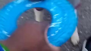Cubby da porn hubbyy