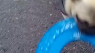 Cubby da porn hubbyy