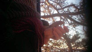 Masturbation in Woods