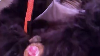 Gorilla fucks sloppy barrel toy