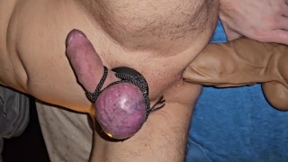 Fuck Asshole with Horsecock and Ballstretcher