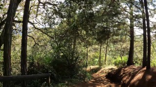 My friend gives me a blowjob outdoors