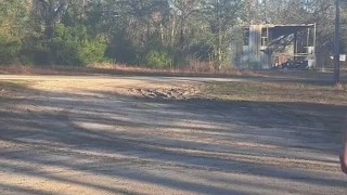 Public Shirt Rip In Broad Daylight