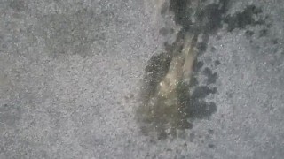 Horny pee on the carpet