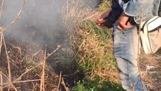 Meada en el monte incendiado