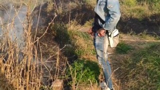 Meada en el monte incendiado