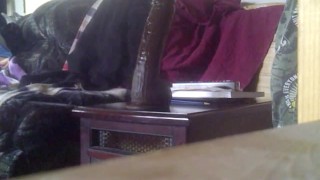 PV Riding Long Thick Black Dildo to the Balls