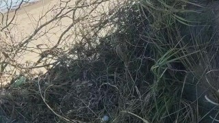 Manly and masculine twink touching each other in the sea outdoors - Latino